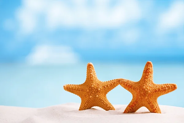 Red starfish with ocean — Stock Photo, Image