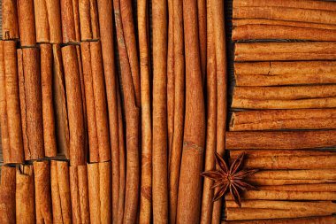 Tarçın çubukları ve anason yıldızı