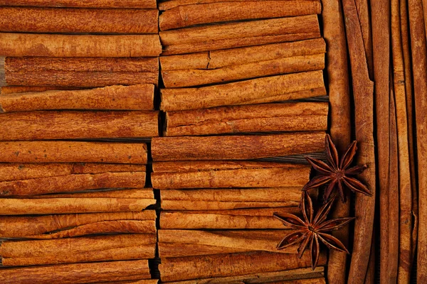 Palitos de canela y estrellas de anís — Foto de Stock