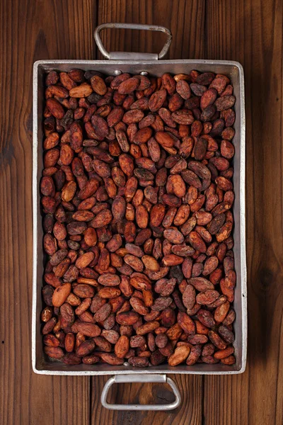 Roasted cocoa chocolate beans — Stock Photo, Image