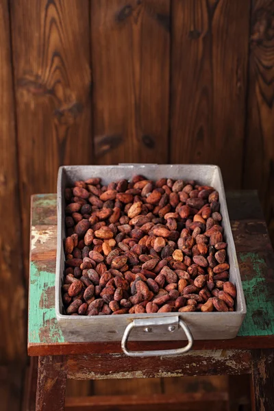 Roasted cocoa chocolate beans — Stock Photo, Image