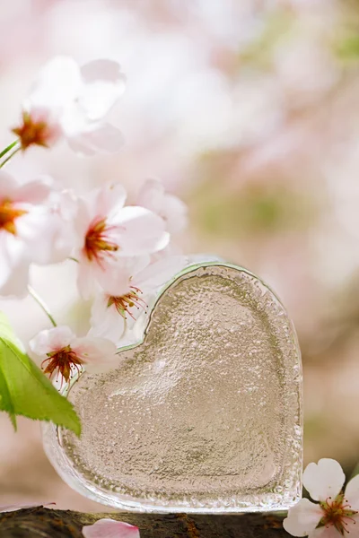 Glass clear heart in Spring — Stock Photo, Image