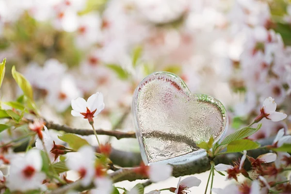 Glass clear heart in Spring — Stock Photo, Image