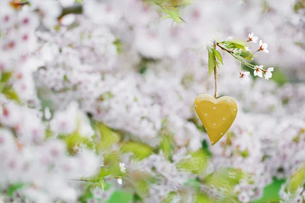 Wooden heart in Spring — Stock Photo, Image