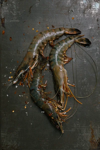 Raw shrims with spice — Stock Photo, Image