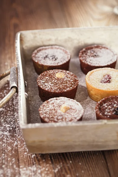 Mini-Törtchen aus Schokolade — Stockfoto