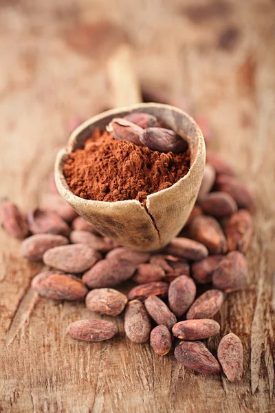 Cocoa powder in spoon — Stock Photo, Image