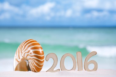 2016 numbers letters with seashell clipart