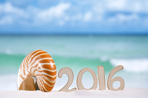 2016 numaraları harflerle deniz kabuğu — Stok fotoğraf