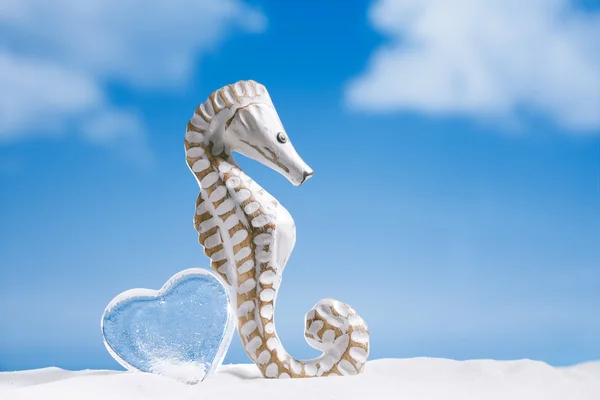 Seahorse met glazen hart — Stockfoto