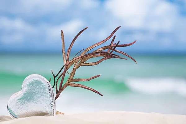 Clear glass heart — Stock Photo, Image