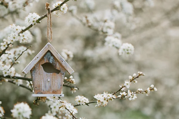 Little wooden bird house — Stock Photo, Image