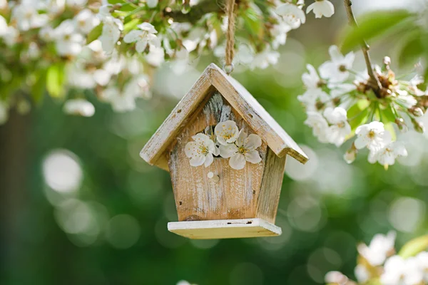 Little Birdhouse in Spring — Stock Photo, Image