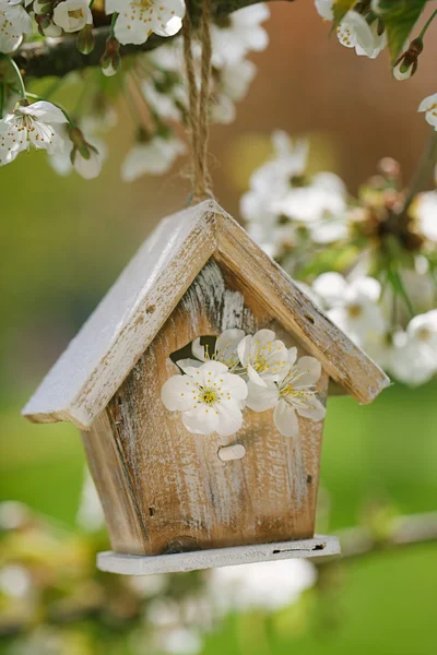 Birdhouse kecil di musim semi — Stok Foto