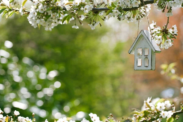 Petite maison en bois — Photo