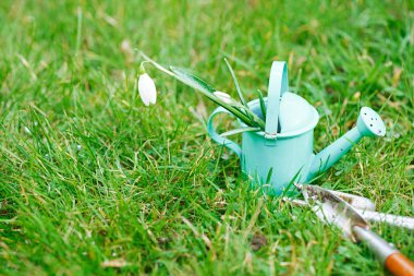 Dekoratif küçük Bahçe aletleri