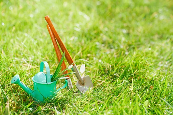Decorative small gardening tools — Stock Photo, Image