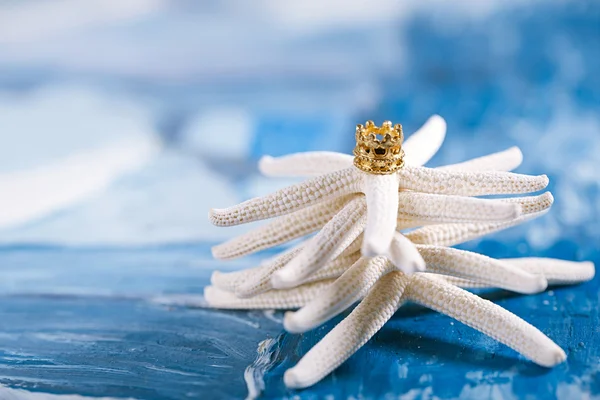 Starfish christmas tree — Stock Photo, Image