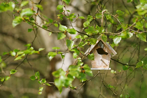 Mały Birdhouse wiosną nowe liście — Zdjęcie stockowe