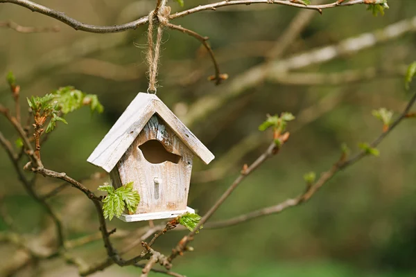 Trochę birdhouse wiosną — Zdjęcie stockowe