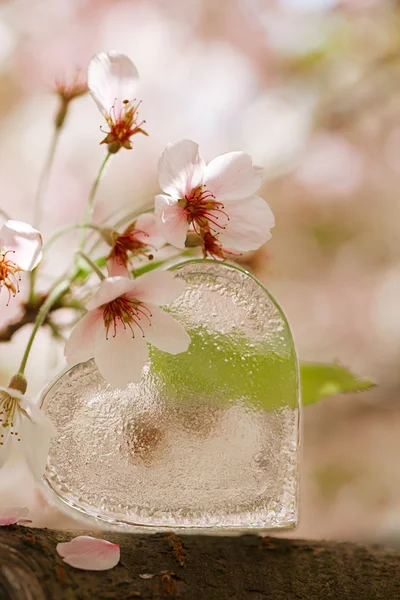 Glass clear heart — Stock Photo, Image