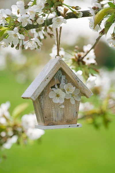 Little Birdhouse na primavera — Fotografia de Stock