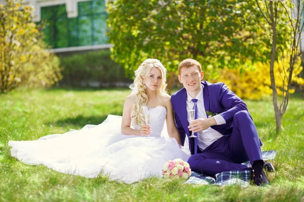 Braut und Bräutigam sitzen auf dem Gras im Park, mit Brille. — Stockfoto