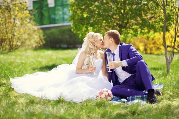 The bride and groom sit on the grass in the park, with glasses i — Stock Photo, Image