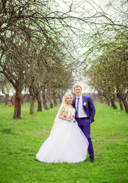 Wedding portrait of the bride and groom in the spring garden — Stock Photo, Image