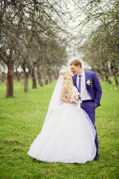 Весільний портрет нареченої і нареченого в весняному саду — стокове фото