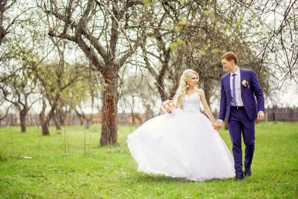 Wedding portrait of the bride and groom in the spring garden — Stock Photo, Image