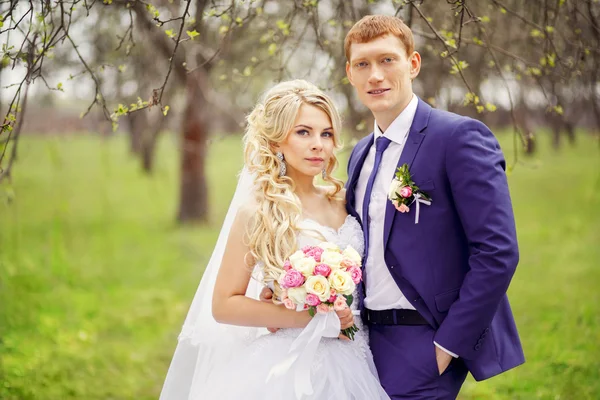 Весільний портрет нареченої і нареченого в весняному саду — стокове фото