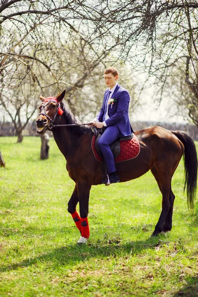 春、リンゴ園で馬に新郎の肖像画 — ストック写真