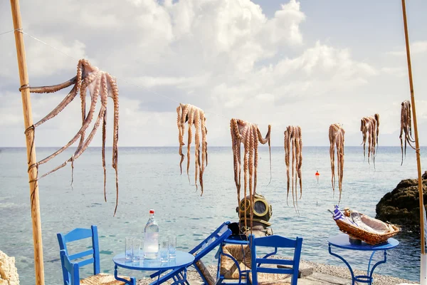Decoration with octopuses are dried in the sun, on a background — Stock Photo, Image