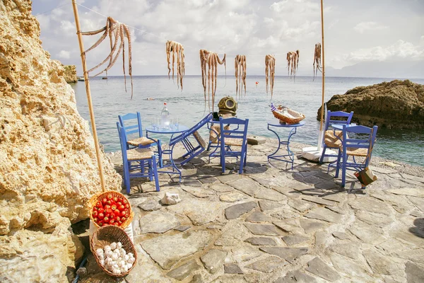 ahtapotlar ile dekorasyon kurutulmuş güneşin denize karşı, 