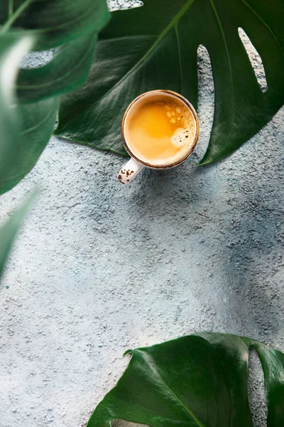 Cup Espresso Monstera Leaves Flatlay Monstera Leaves Copyspace — Stock Photo, Image