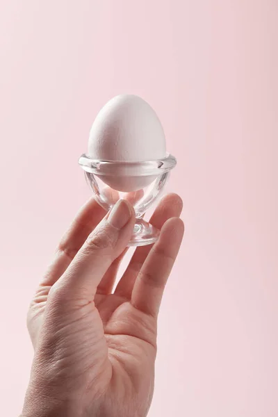 Kvinnfolk med et hvitt egg i hånden, nærbilde på rosa bakgrunn – stockfoto