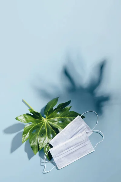 FLatlay with medical mask and a palm leaf on blue, plenty of copy space — Stock Photo, Image