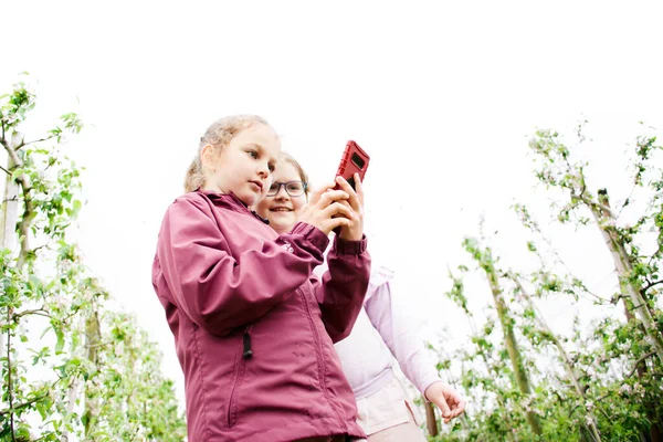 Two teenage girls outdoors browsing internet on smartphone. One girl is pensive the other is smiling — Stockfoto