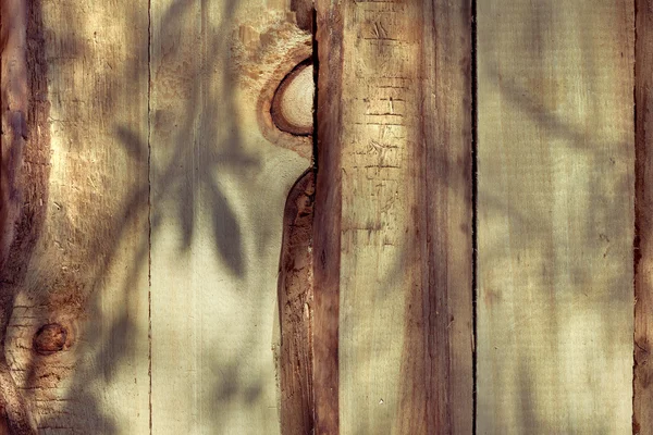 Panneau en bois de pin avec fleur et laisse des ombres dessus — Photo