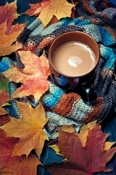 Cup of coffee set with autumn leaves and a warm scarf — Stock Photo, Image