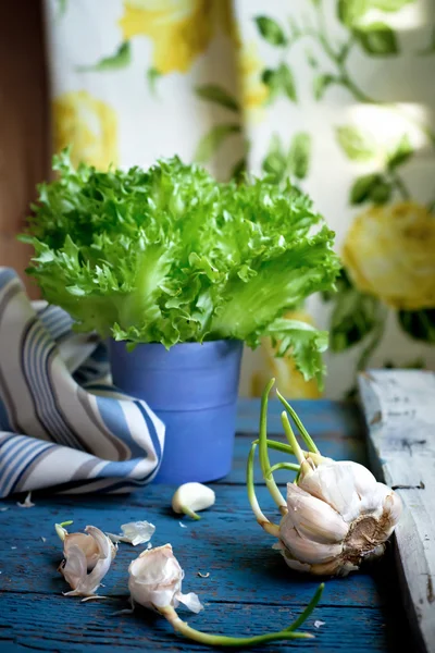 Cloves of garlic on a kitchen table near the window, natural lig — Stock Photo, Image