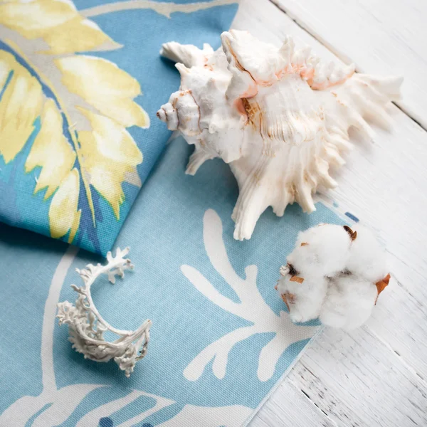 Composition with sea shells and a cotton flower set on cotton to — Stock Photo, Image