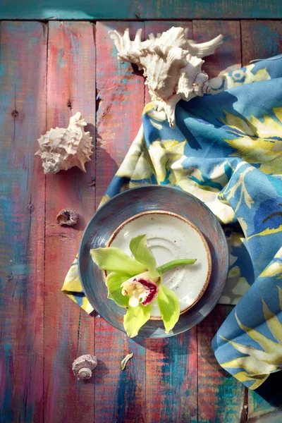 Flor de orquídea e conchas, sobre fundo de madeira colorido — Fotografia de Stock