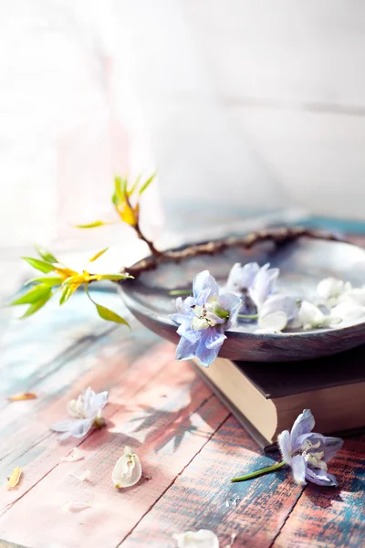 Spring flowers on wooden dish with a book near a window — Stock Photo, Image
