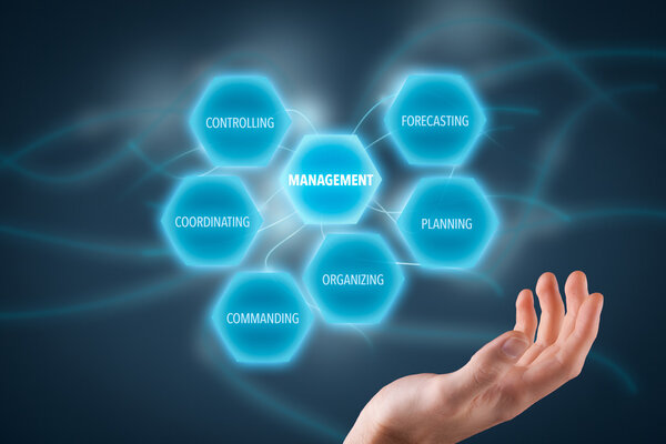 Управленческая концепция шести функций
