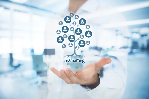 Marketing ist die Wurzel eines Baumes — Stockfoto