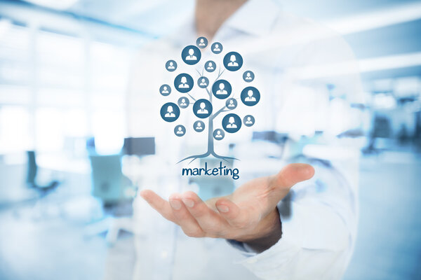 Маркетинг - это корень дерева
