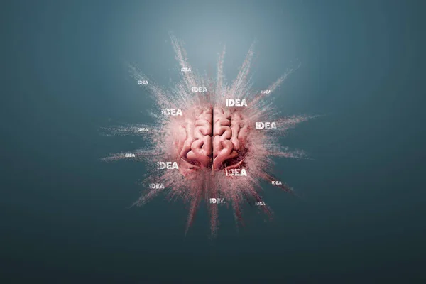 创造力 头脑被吹和头脑风暴的概念 人脑在蓝色背景上漂浮 3D渲染 — 图库照片