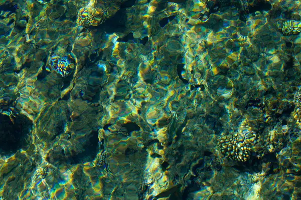 Denizde Temiz — Stok fotoğraf